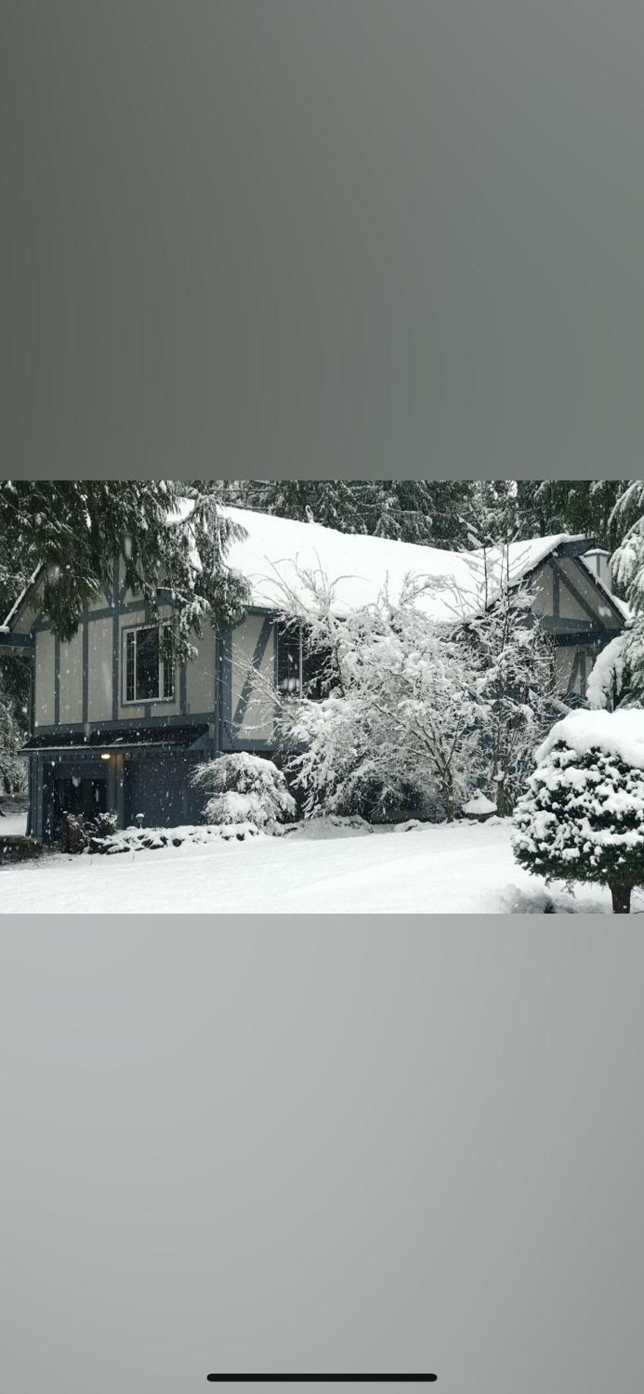 Cozy Bird House W Big Screen! Mount Hood Village Buitenkant foto